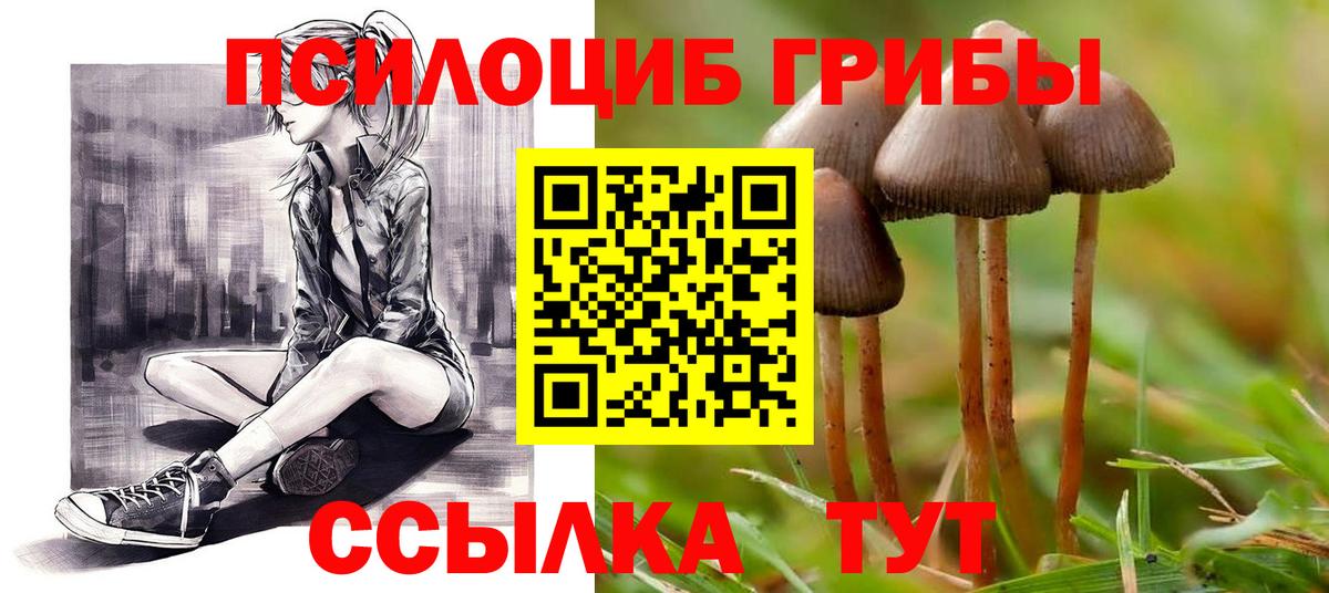 Галлюциногенные грибы MAGIC MUSHROOMS  Вход с VPN  Северск  Псилоцибиновые грибы ЛСД 
